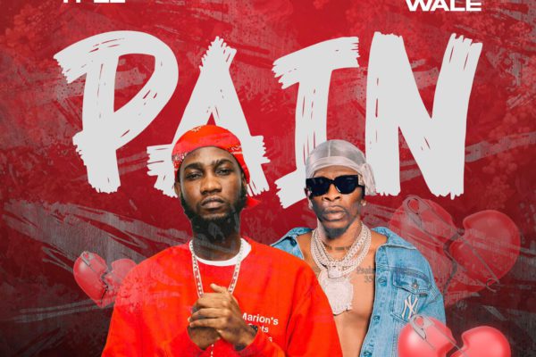 Ypee Ft Shatta Wale - Pain.www.ghanasongs.com