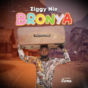 Ziggy Nie - Bronya 